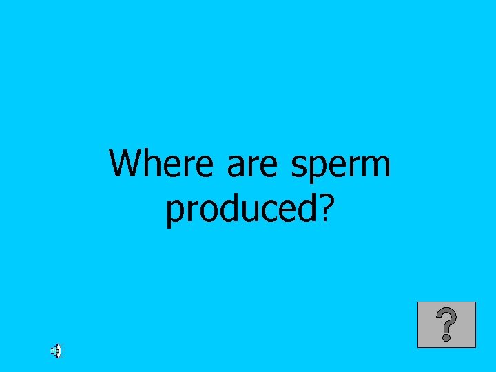 Where are sperm produced? 