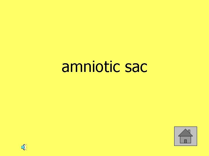amniotic sac 