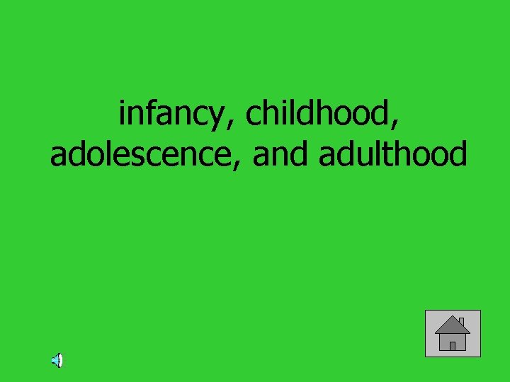 infancy, childhood, adolescence, and adulthood 