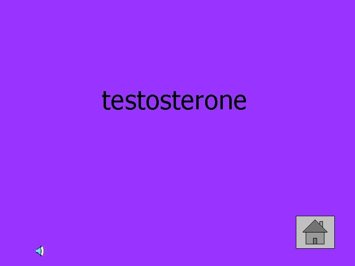 testosterone 