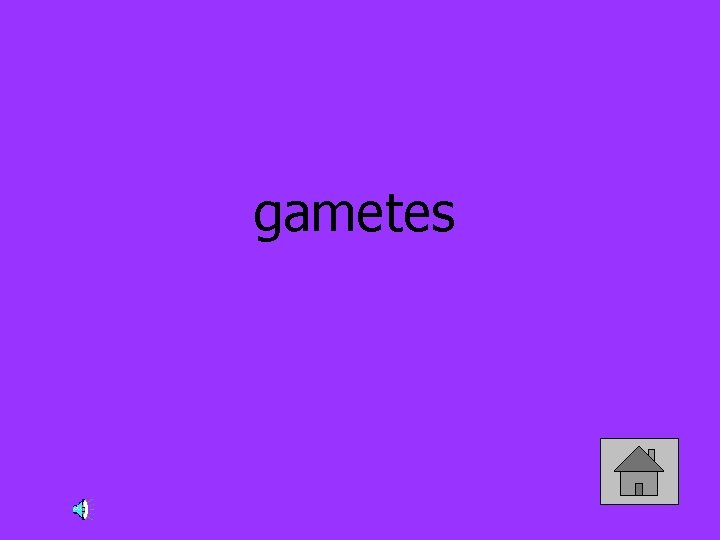 gametes 