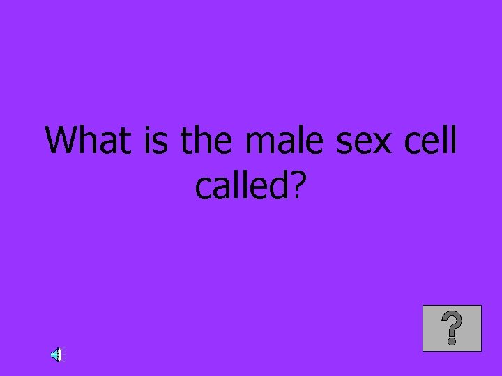 What is the male sex cell called? 