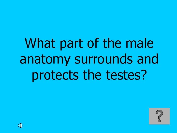 What part of the male anatomy surrounds and protects the testes? 