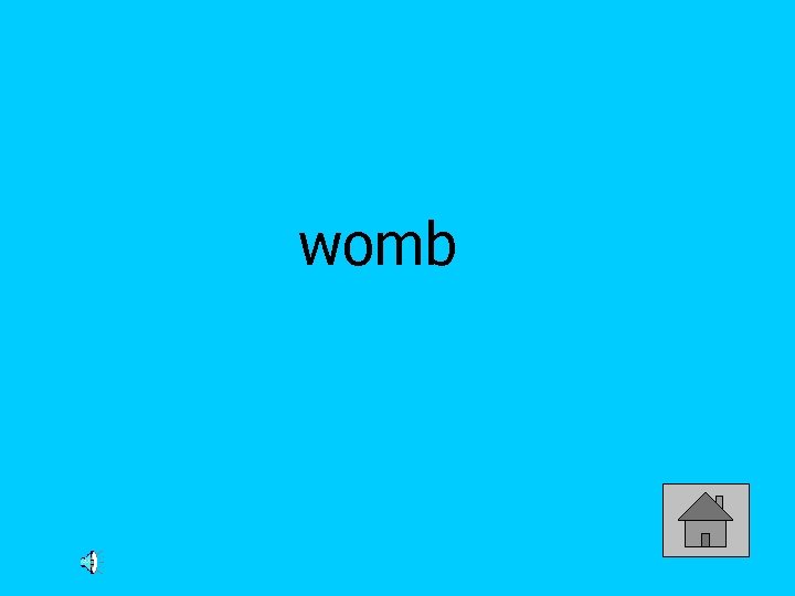 womb 