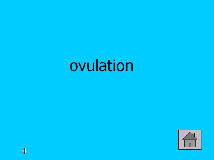 ovulation 