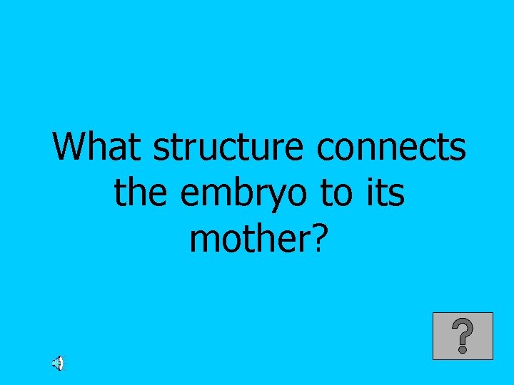 What structure connects the embryo to its mother? 