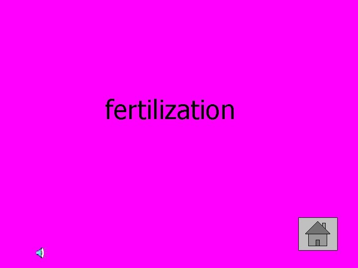 fertilization 