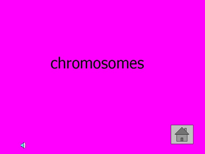 chromosomes 