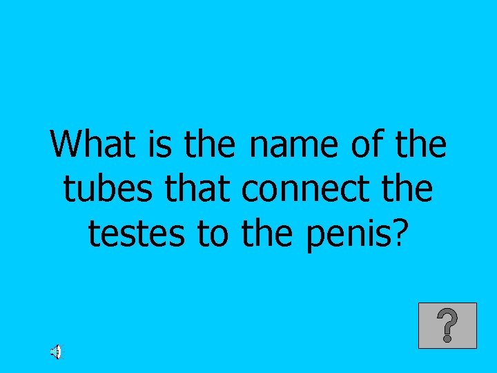 What is the name of the tubes that connect the testes to the penis?