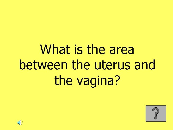 What is the area between the uterus and the vagina? 