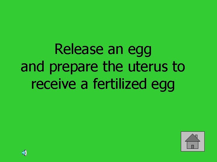 Release an egg and prepare the uterus to receive a fertilized egg 