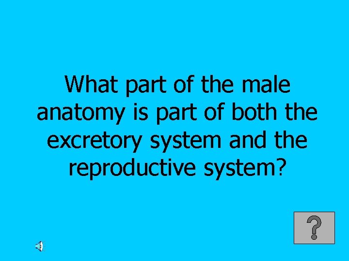 What part of the male anatomy is part of both the excretory system and