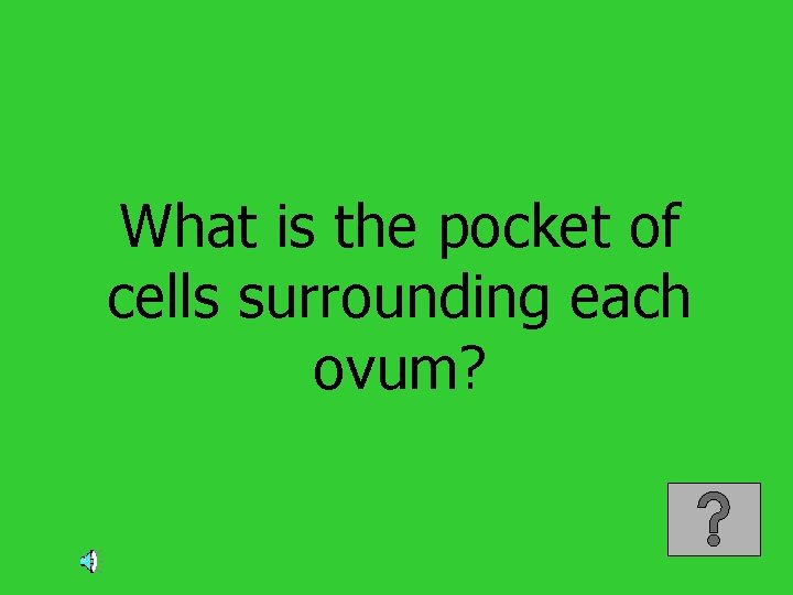 What is the pocket of cells surrounding each ovum? 
