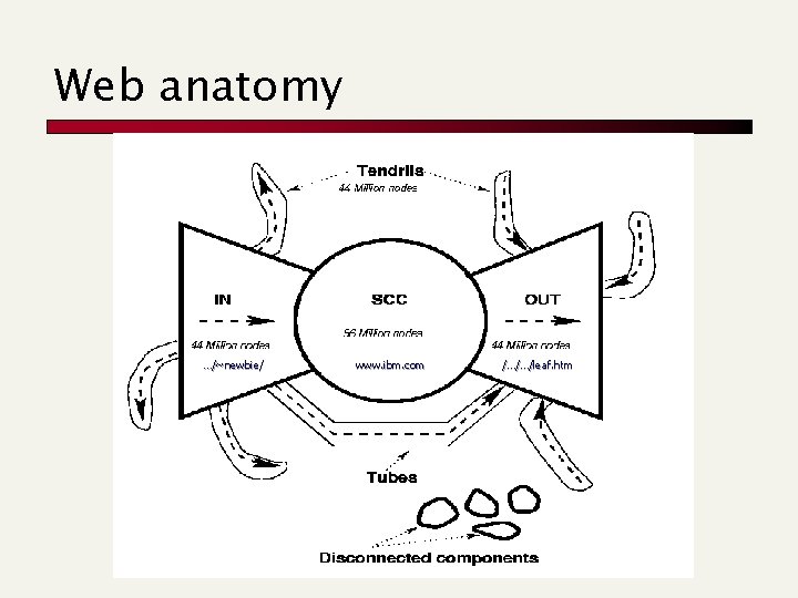 Web anatomy …/~newbie/ www. ibm. com /…/…/leaf. htm Web anatomy …/~newbie/ www. ibm. com /…/…/leaf. htm