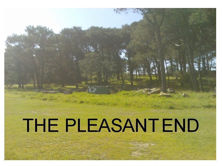 THE PLEASANT END 