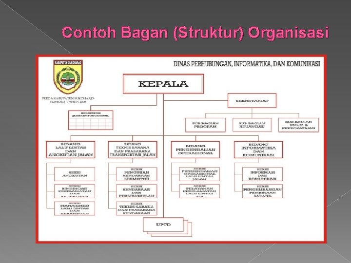 Contoh Bagan (Struktur) Organisasi 