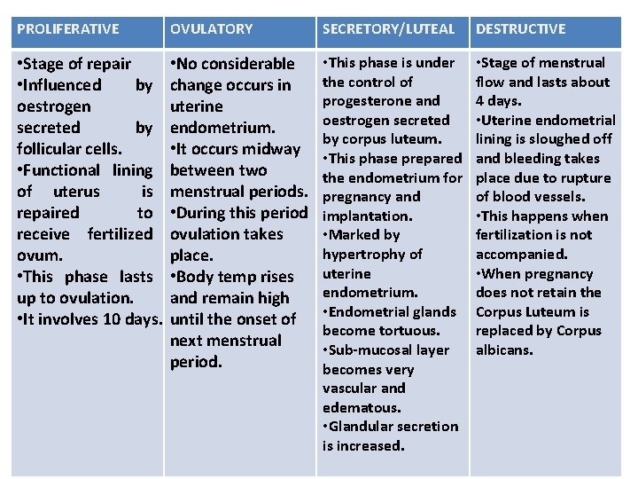 PROLIFERATIVE OVULATORY SECRETORY/LUTEAL DESTRUCTIVE • Stage of repair • Influenced by oestrogen secreted by