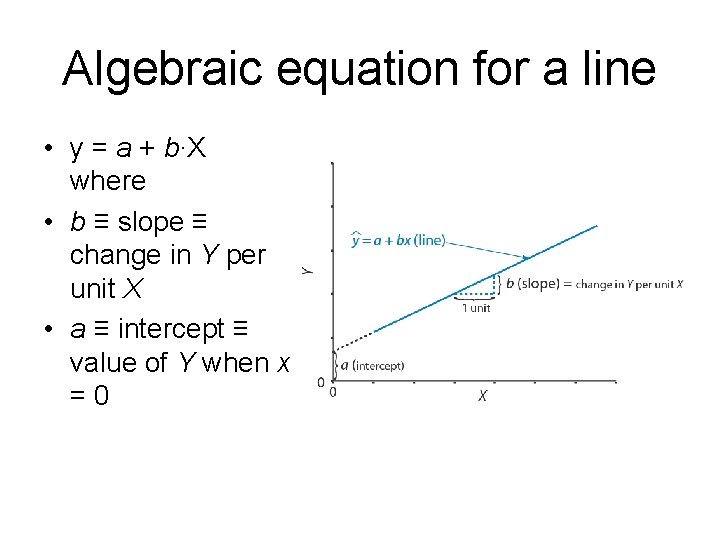 Algebraic equation for a line • y = a + b∙X where • b