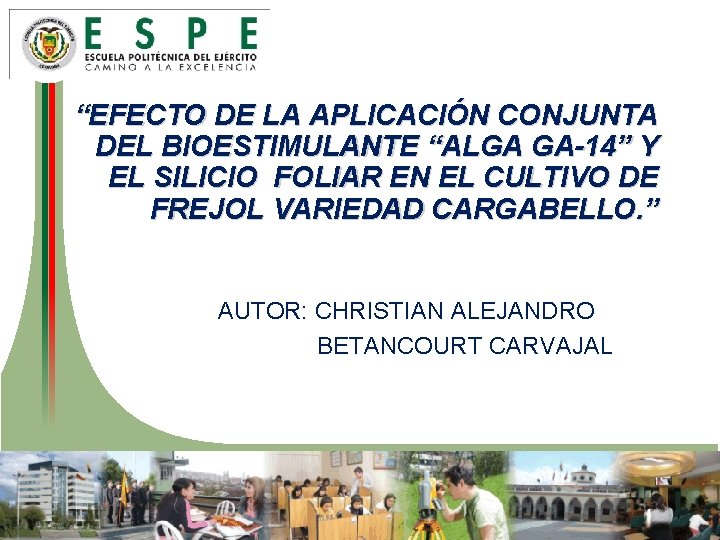 “EFECTO DE LA APLICACIÓN CONJUNTA DEL BIOESTIMULANTE “ALGA GA-14” Y EL SILICIO FOLIAR EN