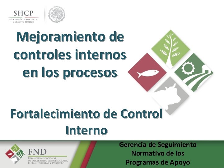 Mejoramiento de controles internos en los procesos Fortalecimiento de Control Interno Gerencia de Seguimiento