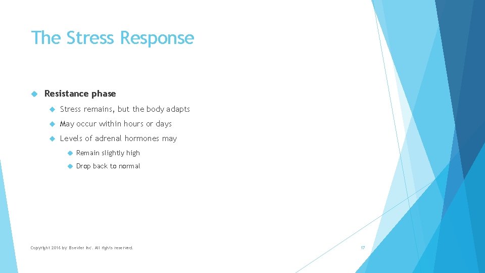 The Stress Response Resistance phase Stress remains, but the body adapts May occur within