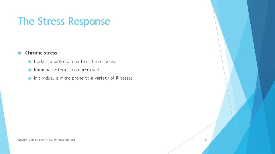 The Stress Response Chronic stress Body is unable to maintain the response Immune system