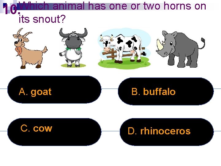 Which animal has one or two horns on 10. its snout? A. goat C.