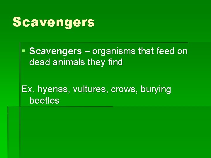 Scavengers § Scavengers – organisms that feed on dead animals they find Ex. hyenas,