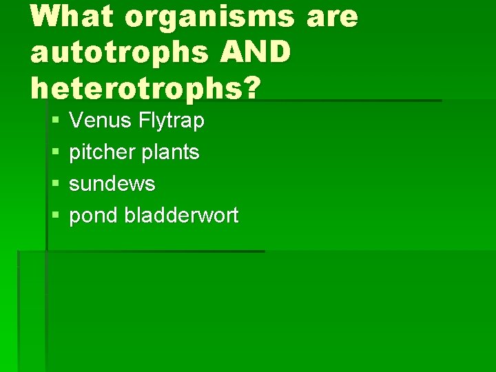 What organisms are autotrophs AND heterotrophs? § § Venus Flytrap pitcher plants sundews pond