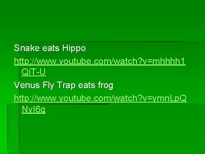 Snake eats Hippo http: //www. youtube. com/watch? v=mhhhh 1 Qi. T-U Venus Fly Trap