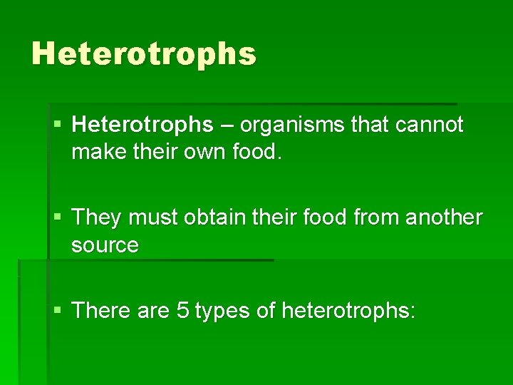 Heterotrophs § Heterotrophs – organisms that cannot make their own food. § They must