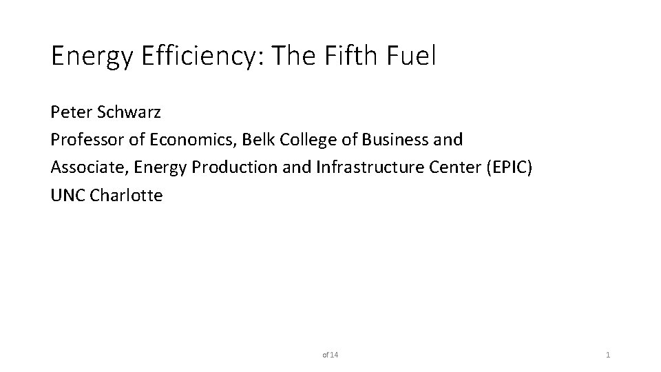 Energy Efficiency: The Fifth Fuel Peter Schwarz Professor of Economics, Belk College of Business