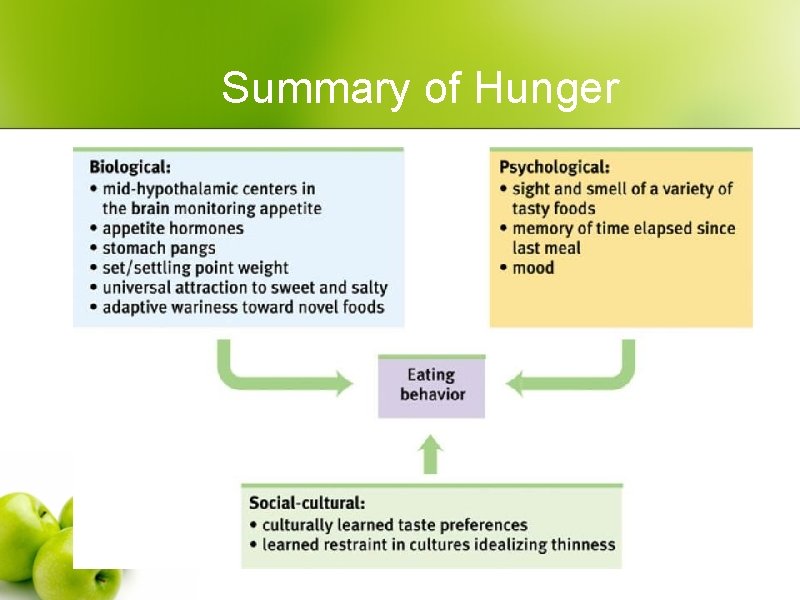 Summary of Hunger 