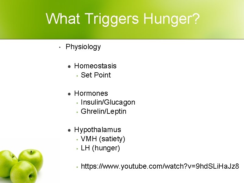 What Triggers Hunger? • Physiology ● Homeostasis • Set Point ● Hormones • Insulin/Glucagon