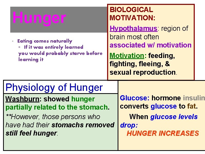 Hunger • Eating comes naturally ▫ If it was entirely learned you would probably