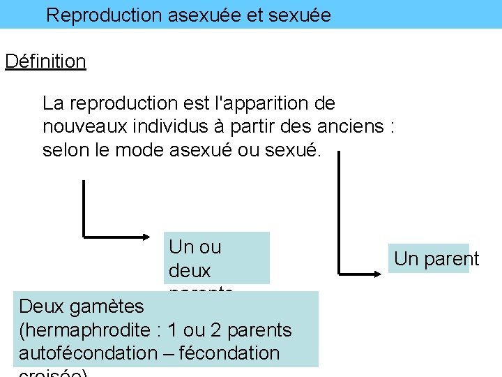 Reproduction asexuée et sexuée Définition La reproduction est l'apparition de nouveaux individus à partir