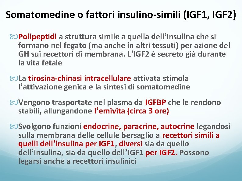 Somatomedine o fattori insulino-simili (IGF 1, IGF 2) Polipeptidi a struttura simile a quella