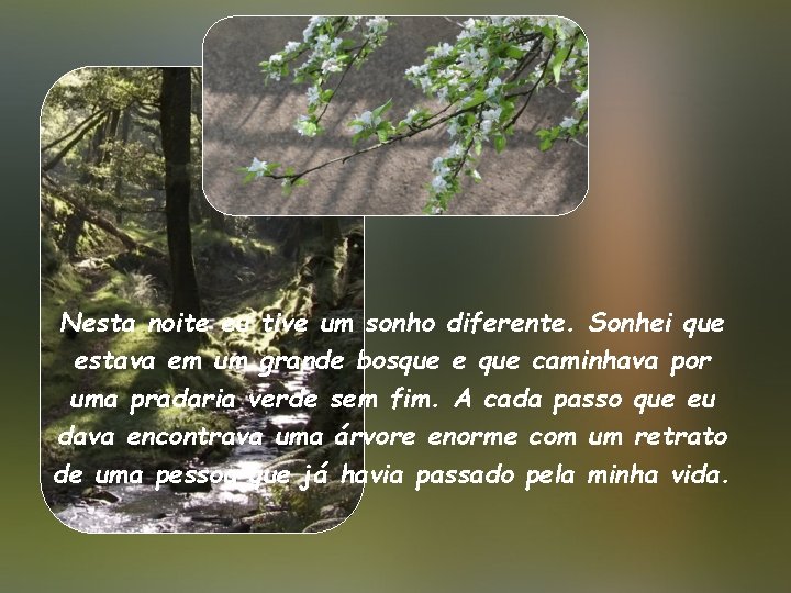 Nesta noite eu tive um sonho diferente. Sonhei que estava em um grande bosque