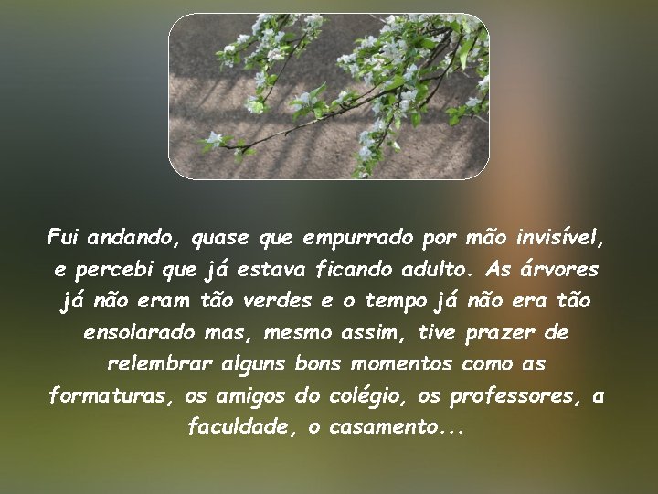 Fui andando, quase que empurrado por mão invisível, e percebi que já estava ficando