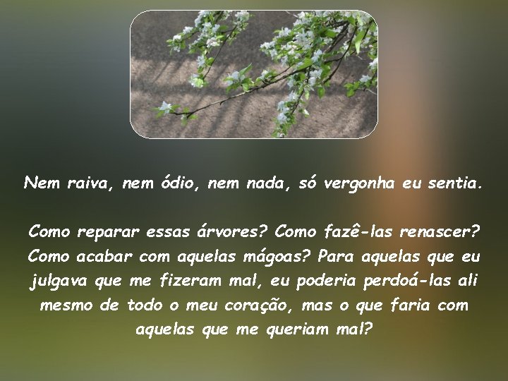 Nem raiva, nem ódio, nem nada, só vergonha eu sentia. Como reparar essas árvores?