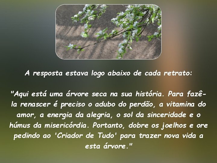 A resposta estava logo abaixo de cada retrato: "Aqui está uma árvore seca na