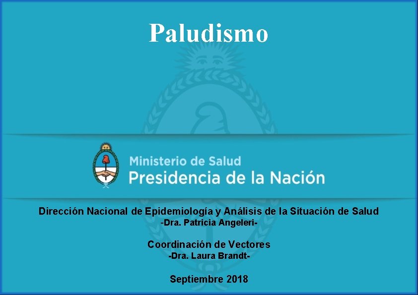 Paludismo Dirección Nacional de Epidemiología y Análisis de la Situación de Salud -Dra. Patricia Paludismo Dirección Nacional de Epidemiología y Análisis de la Situación de Salud -Dra. Patricia