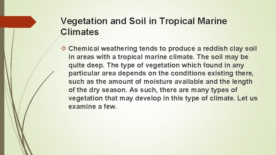 Vegetation and Soil in Tropical Marine Climates Chemical weathering tends to produce a reddish