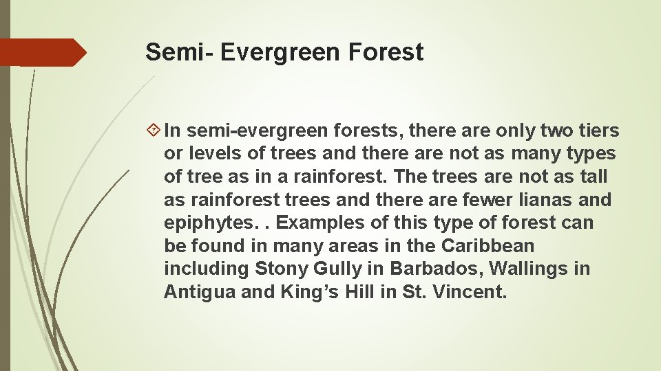 Semi- Evergreen Forest In semi-evergreen forests, there are only two tiers or levels of