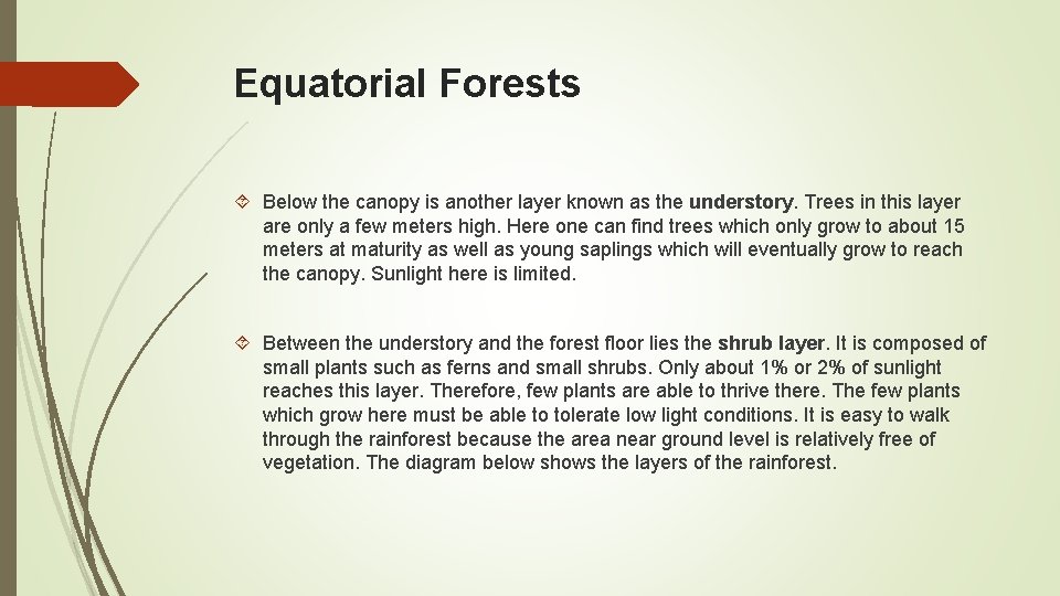 Equatorial Forests Below the canopy is another layer known as the understory. Trees in