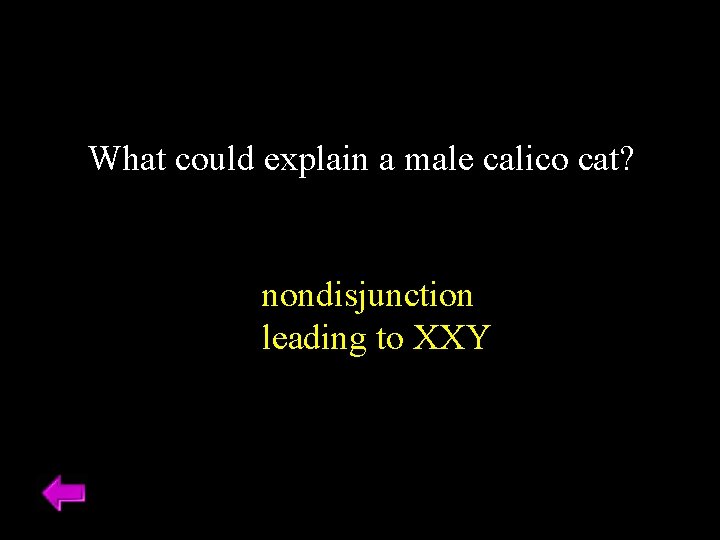 What could explain a male calico cat? nondisjunction leading to XXY 