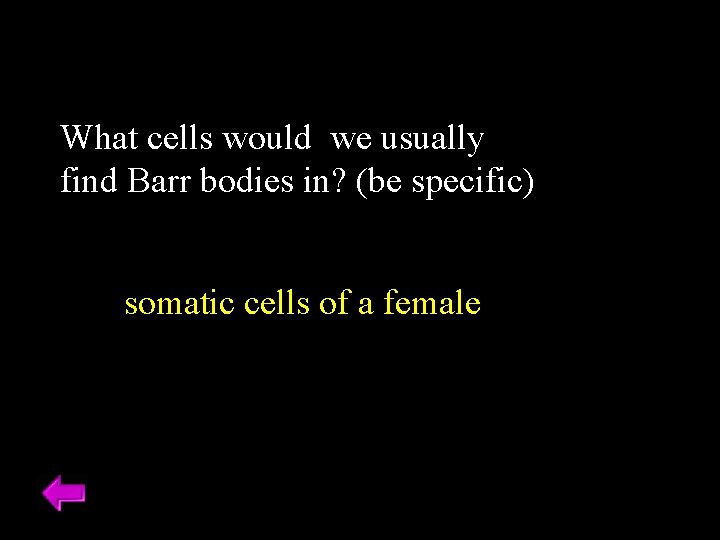 What cells would we usually find Barr bodies in? (be specific) somatic cells of