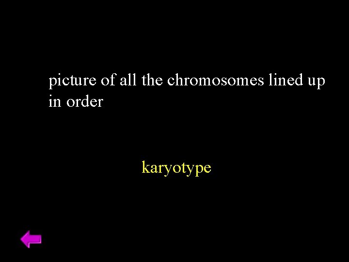 picture of all the chromosomes lined up in order karyotype 