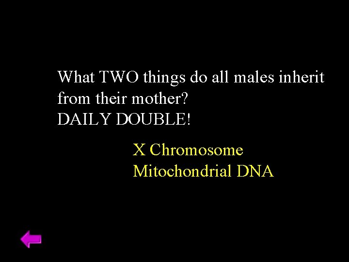 What TWO things do all males inherit from their mother? DAILY DOUBLE! X Chromosome
