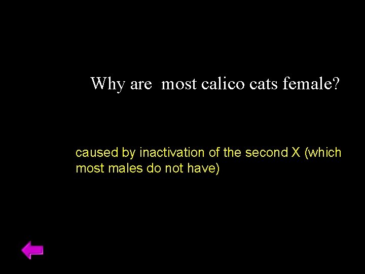 Why are most calico cats female? caused by inactivation of the second X (which